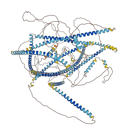CEP162 3D structure