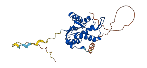 N4BP2L1 3D structure
