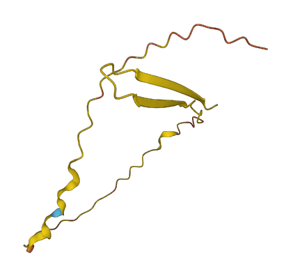 ATP1A1-AS1 3D structure