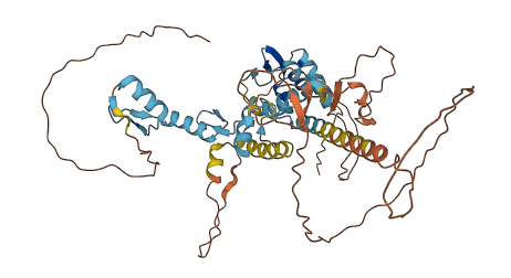 ZBTB37 3D structure