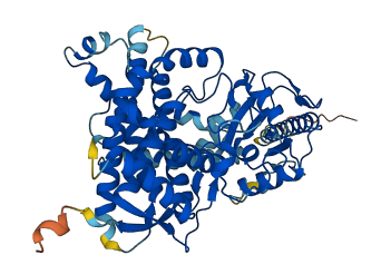 CYP4A22 3D structure