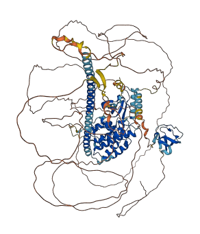 MAP3K21 3D structure