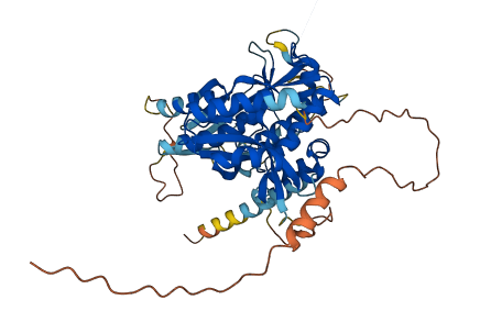 LGSN 3D structure