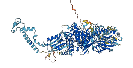 C20orf194 3D structure