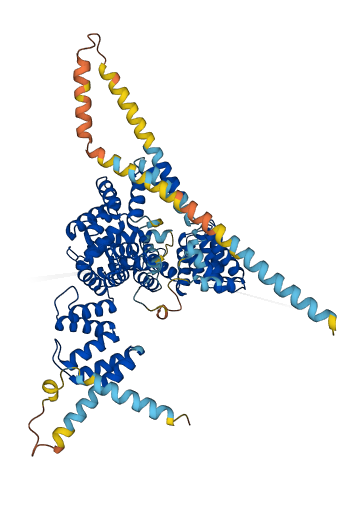 SEL1L2 3D structure