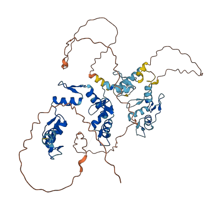 ZNF697 3D structure