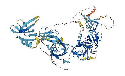 THEMIS2 3D structure