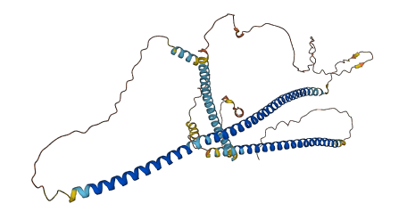 IFFO2 3D structure