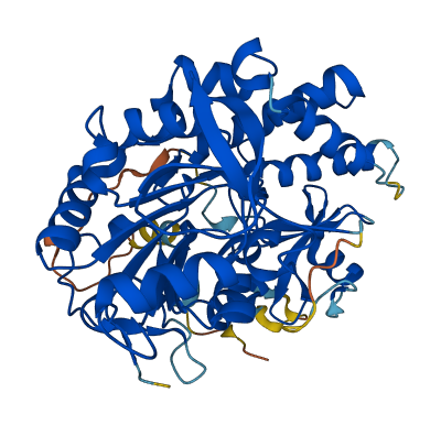 NT5DC1 3D structure