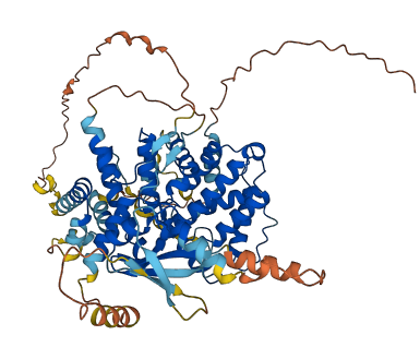 ARHGAP40 3D structure