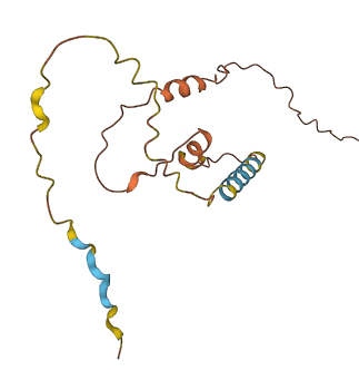 SERTAD4-AS1 3D structure