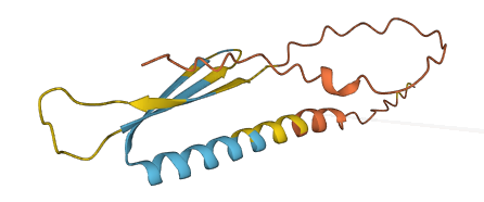 C1orf195 3D structure