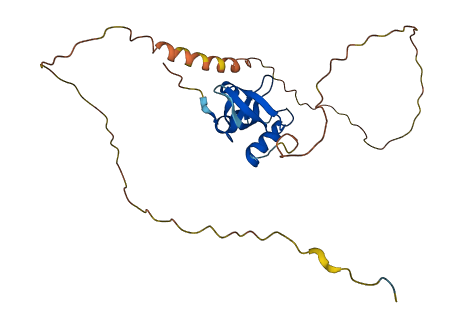 HDGFL1 3D structure