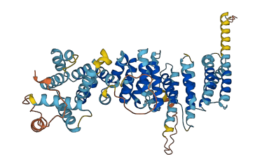 MROH9 3D structure