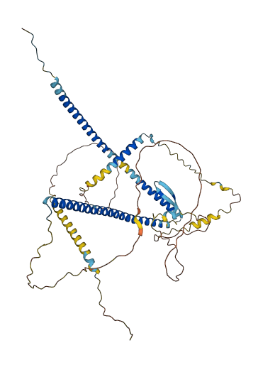 CCDC181 3D structure