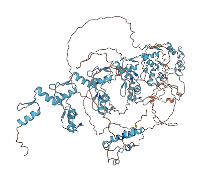 ZNF658 3D structure