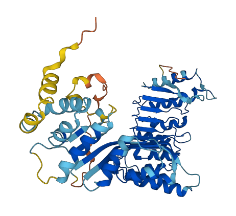 PRAMEF5 3D structure
