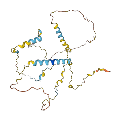 P33monox 3D structure