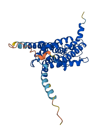 TMEM164 3D structure