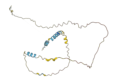 GDF5OS 3D structure