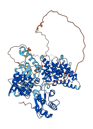 HECTD2 3D structure