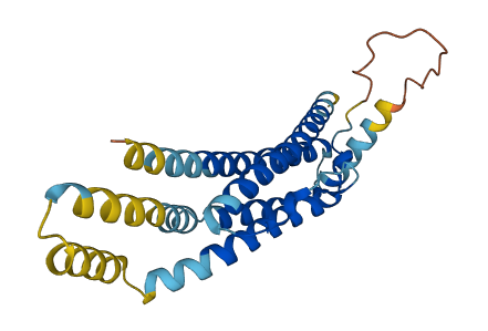C12orf60 3D structure