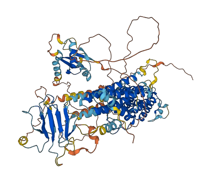 RASIP1 3D structure