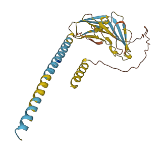 Cd200r3 3D structure