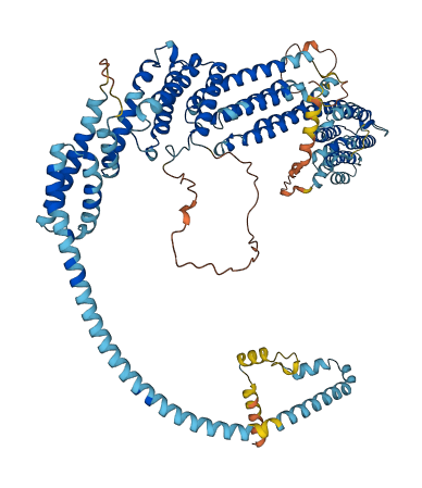 VPS53 3D structure