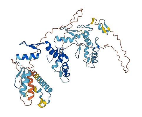 ZNF468 3D structure