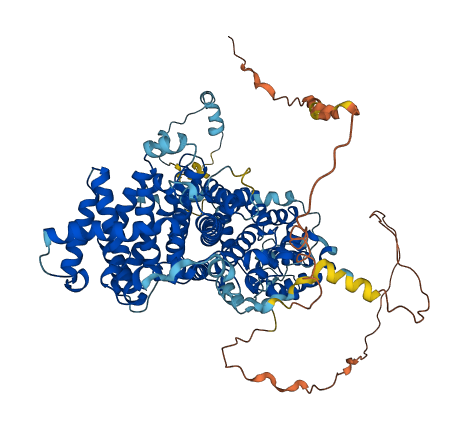 STRIP1 3D structure