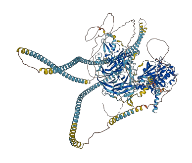 CDC42BPA 3D structure