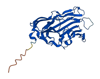 FAM78B 3D structure