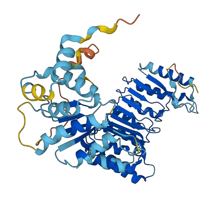 PRAMEF20 3D structure