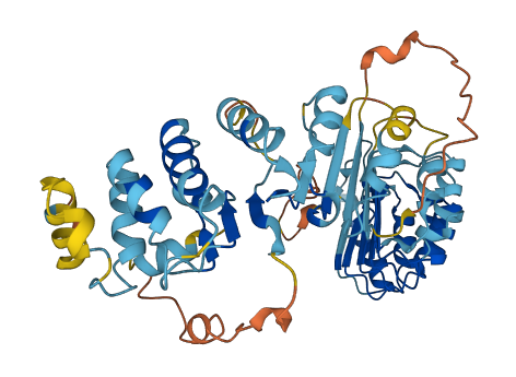 PRAMEF17 3D structure
