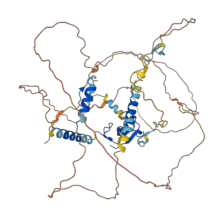 RNF220 3D structure