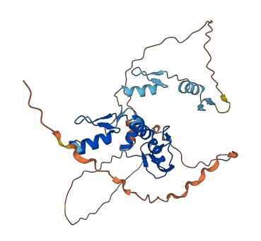 GFI1B 3D structure