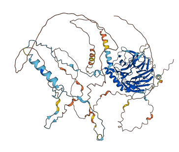 WDR78 3D structure