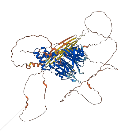 KLHDC7A 3D structure