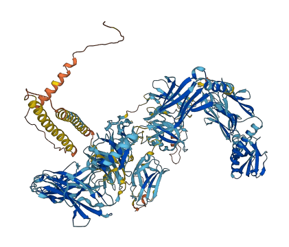 MYOM3 3D structure