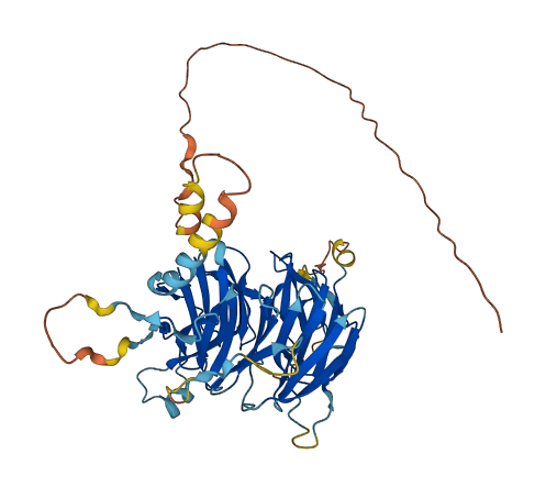 DCAF12L1 3D structure