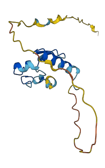 C1orf53 3D structure