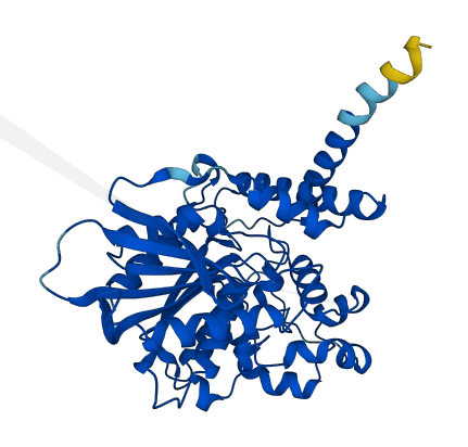 AADACL4 3D structure