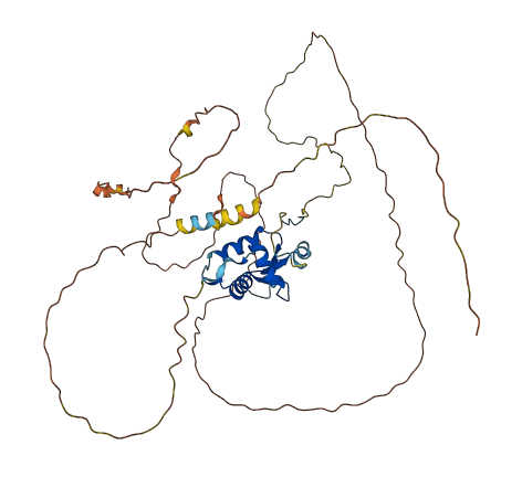 FOXD4L5 3D structure