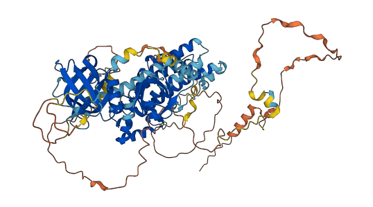 ARHGEF16 3D structure