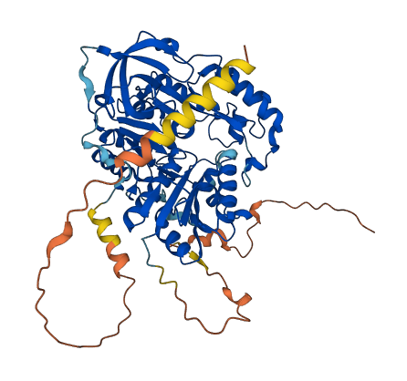 CDKAL1 3D structure