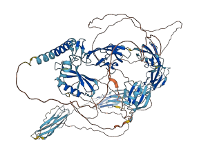 KIAA0319 3D structure