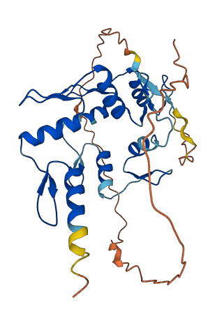 ZNF691 3D structure