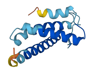 TMEM244 3D structure