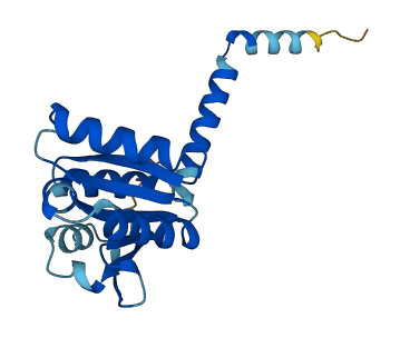 C1orf146 3D structure